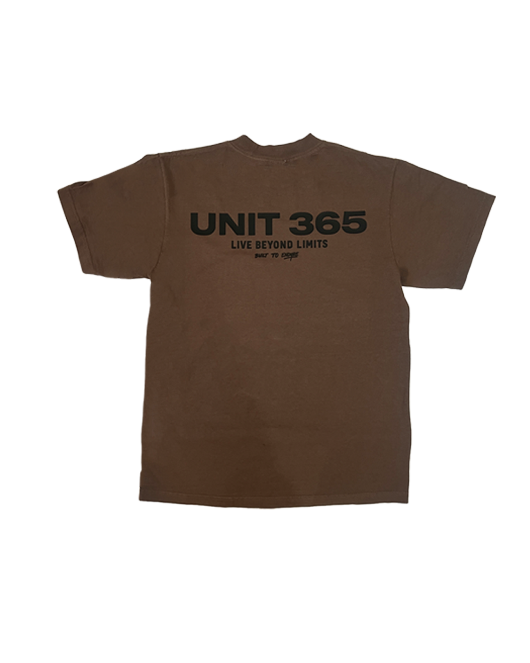 Signature Oversized Tee — Back